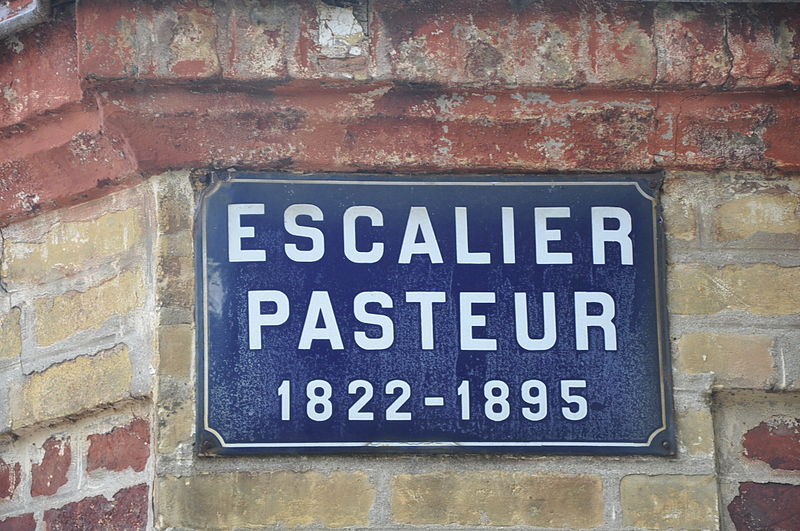 File:PLAQUE PASTEUR le havre.JPG