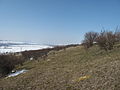 Čeština: Pohled na západ v přírodní památce Hradiště. Obec Dřínov, okres Kladno, Česká republika. English: View to the west in natural monument Hradiště, Dřínov municipality, Kladno District, Czech Republic.