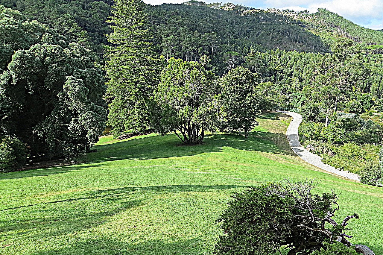 Parque de Monserrate - panoramio (5).jpg