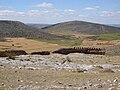 Sierra de Miñana iz gradu Peñalcázar v provinci Soria