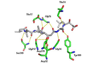 <span class="mw-page-title-main">Pepstatin</span> Chemical compound