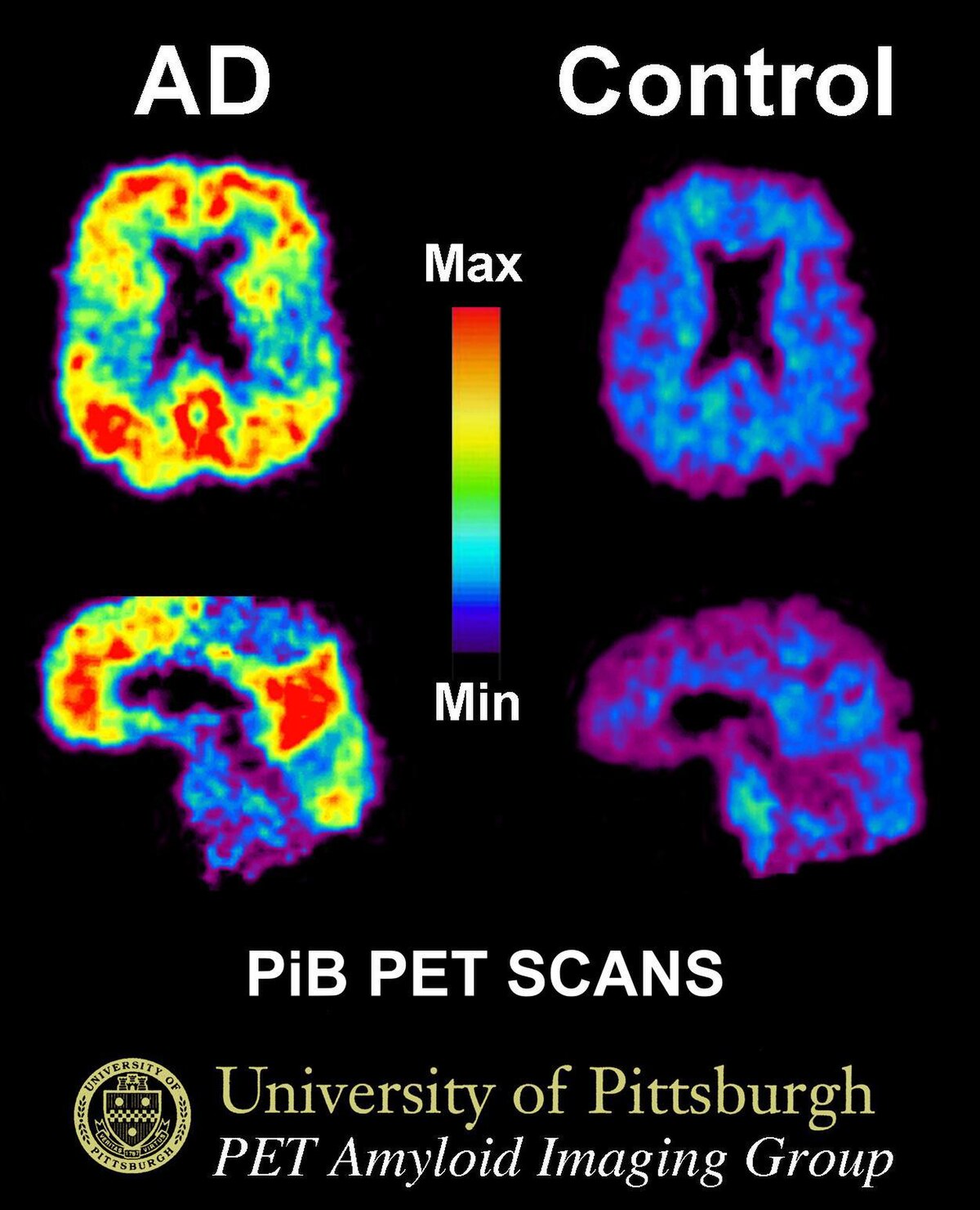 File Pib Pet Images Ad Jpg Wikimedia Commons