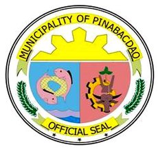 Pinabacdao Official Seal.jpg