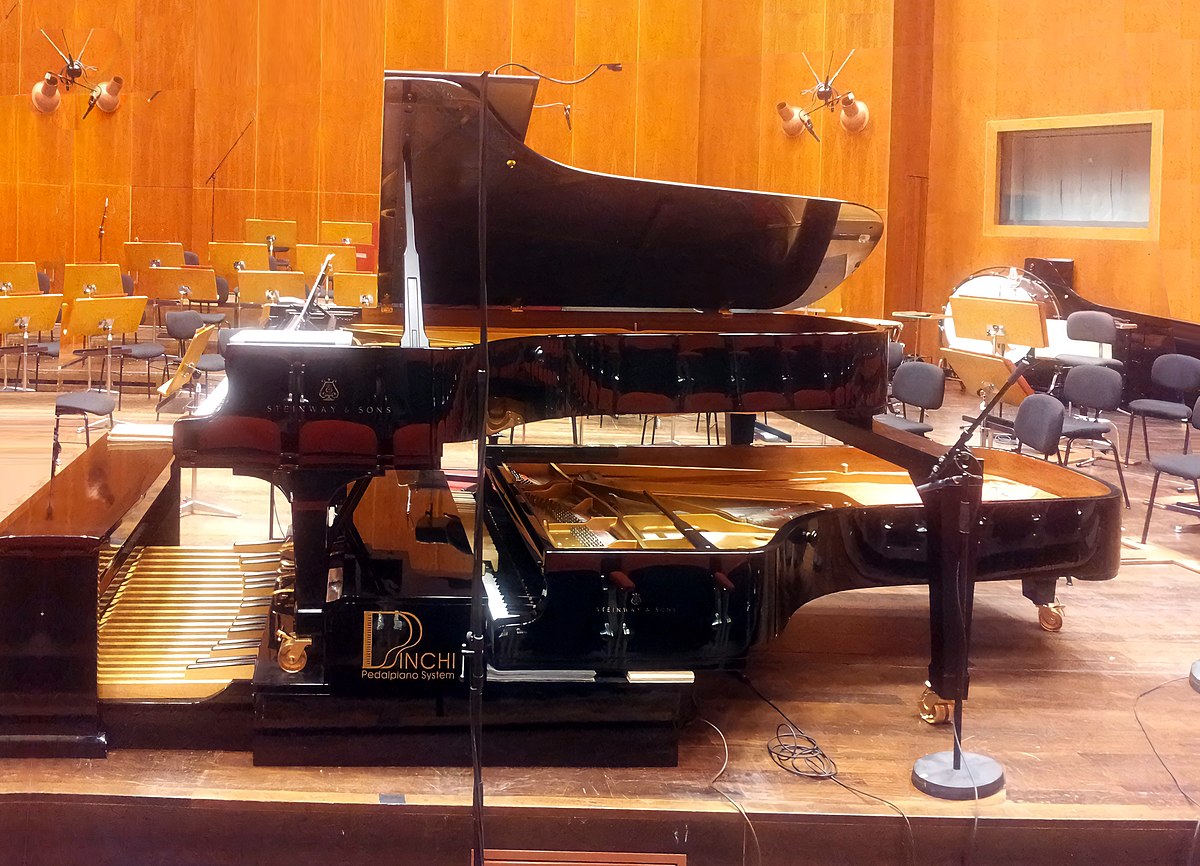 A very rare grand pedal piano pictured in the Robert-Schumann-Haus in  Zwickau, Germany, 15 June 2010. A organ pedal claviature is attached under  the piano, the painist can play with his hands