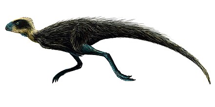 Pisanosaurus Pisanosaurus.jpg