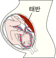 2011년 10월 8일 (토) 17:26 판의 섬네일