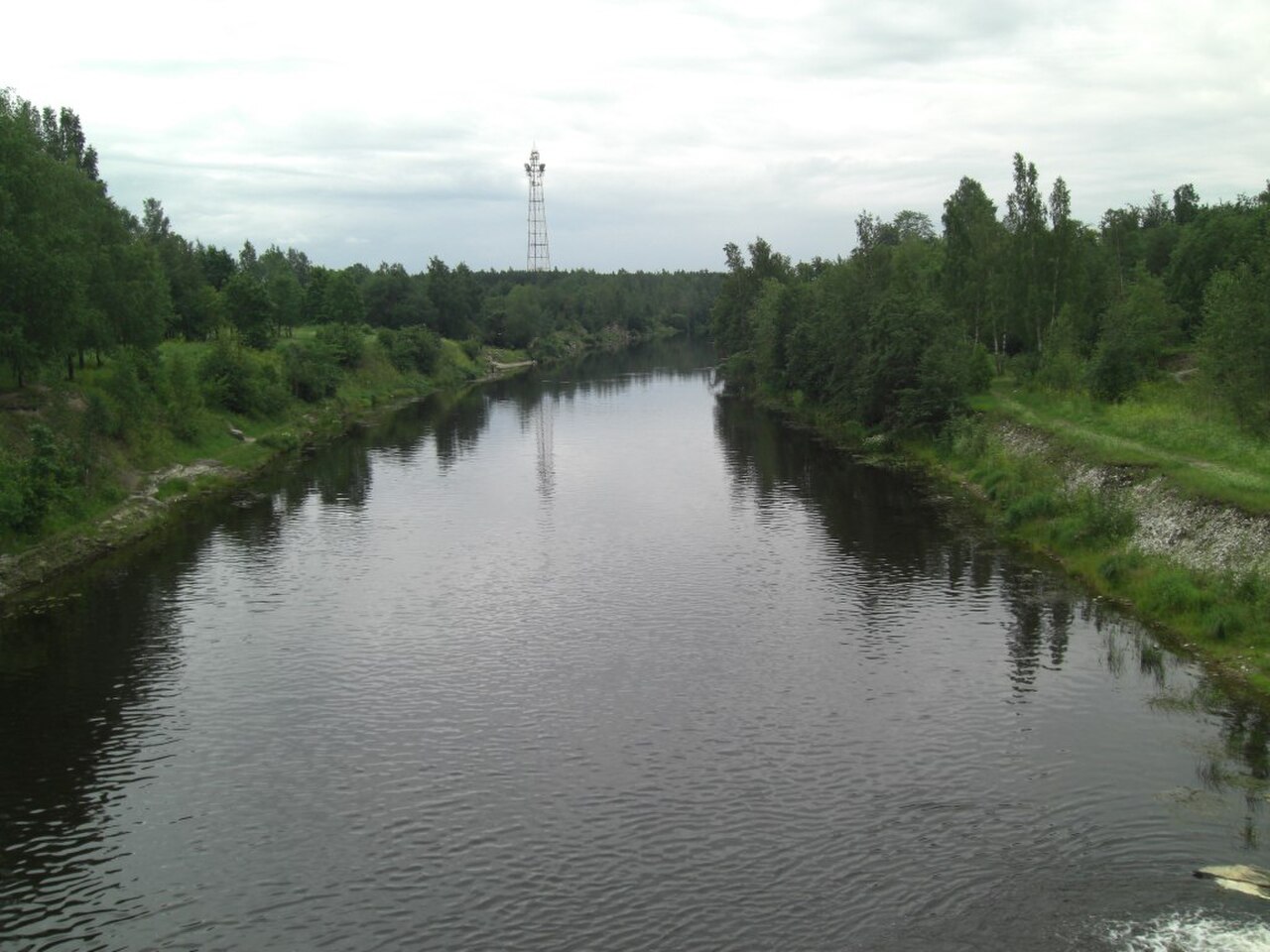 река плюсса псковская область