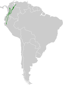 Distribución geográfica del titirijí capirrufo.