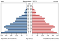 English: The population pyramid of Kyrgyzstan illustrates the age and sex structure of population and may provide insights about political and social stability, as well as economic development. The population is distributed along the horizontal axis, with males shown on the left and females on the right. The male and female populations are broken down into 5-year age groups represented as horizontal bars along the vertical axis, with the youngest age groups at the bottom and the oldest at the top. The shape of the population pyramid gradually evolves over time based on fertility, mortality, and international migration trends. Українська: Віково-статева піраміда населення Киргизстану за 2013 рік. Вона дає наочне уявлення про вікову і статеву структура населення країни, може слугувати джерелом інформації про політичну і соціальну стабільність, економічний розвиток. Блакитними кольорами ліворуч, у вигляді горизонтальних смуг показані вікові групи (з кроком 5 років кожна) чоловічої статі, праворуч рожевими — жіночої. Наймолодші вікові групи — внизу, найстаріші — вгорі. Форма піраміди поступово еволюціонує з плином часу під впливом чинників народжуваності, смертності і світової міграції.