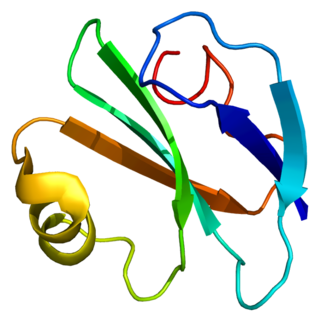 <span class="mw-page-title-main">CD59</span> Mammalian protein found in Homo sapiens