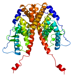 Proteino ESR1 PDB 1a52.png