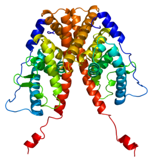 <span class="mw-page-title-main">Estrogen receptor alpha</span> Protein-coding gene in the species Homo sapiens