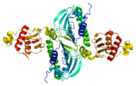 Thumbnail for Mismatch repair endonuclease PMS2