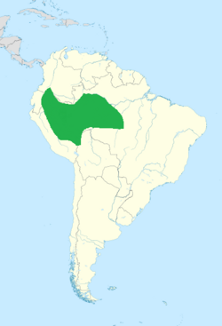 Distribución geográfica del cotinga gorgimorado.