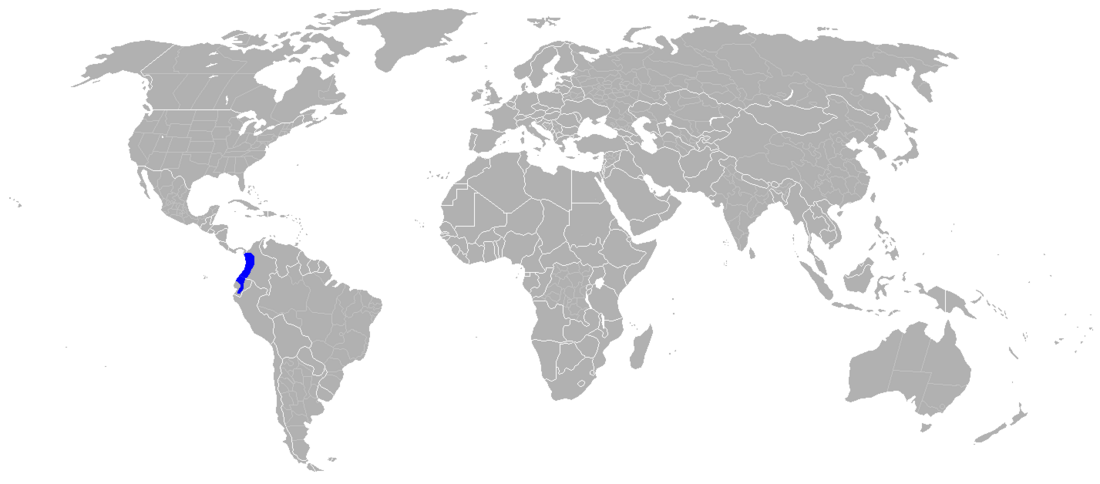 File:Ramphastos brevis range.png