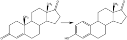 Aromatase converts androstenedione to estrone Reaction-Androstendione-Estrone.png