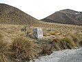 Red deer memorial, Lindis Pass