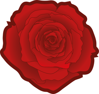 The red rose, a common symbol of social democracy. Nearly all member parties use the red rose as their logo or symbol.