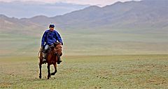 Rider in Mongolia, 2012.jpg