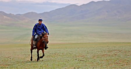 Tập_tin:Rider_in_Mongolia,_2012.jpg