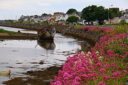 How to get to Rosses Point with public transit - About the place