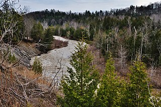 The Toronto ravine system is a distinctive feature 