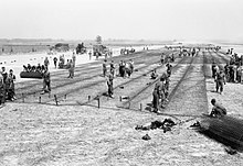 Laying square mesh track at ALG B19, Lingevres. Royal Air Force- 2nd Tactical Air Force, 1943-1945. CL710.jpg