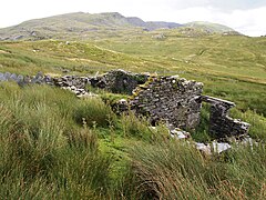 Ruined Dwelling, Moel Bowydd - geograph.org.uk - 5058443.jpg