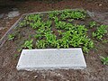 Satilla River marker