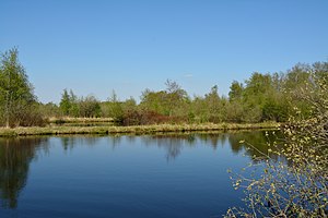 Schleswig-Holstein, Heide, Ostroher-Süderholmer Moor NIK 0120.JPG