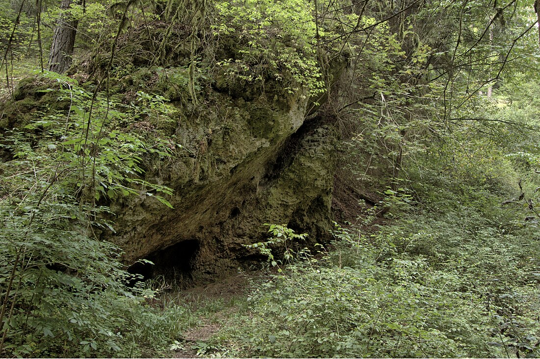 Bärental (walog sa Alemanya, Bavaria)