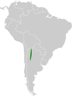 Distribución geográfica del churrín cejiblanco.