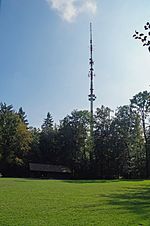 Sendeturm Zürichberg