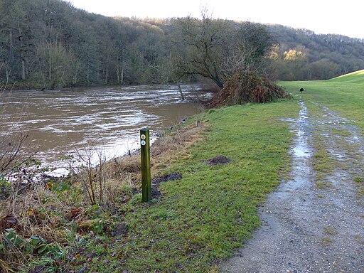 Severn Way at Trimpley Reservoir - geograph.org.uk - 3276240