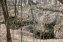 Shelta Cave i Huntsville, Alabama.jpg