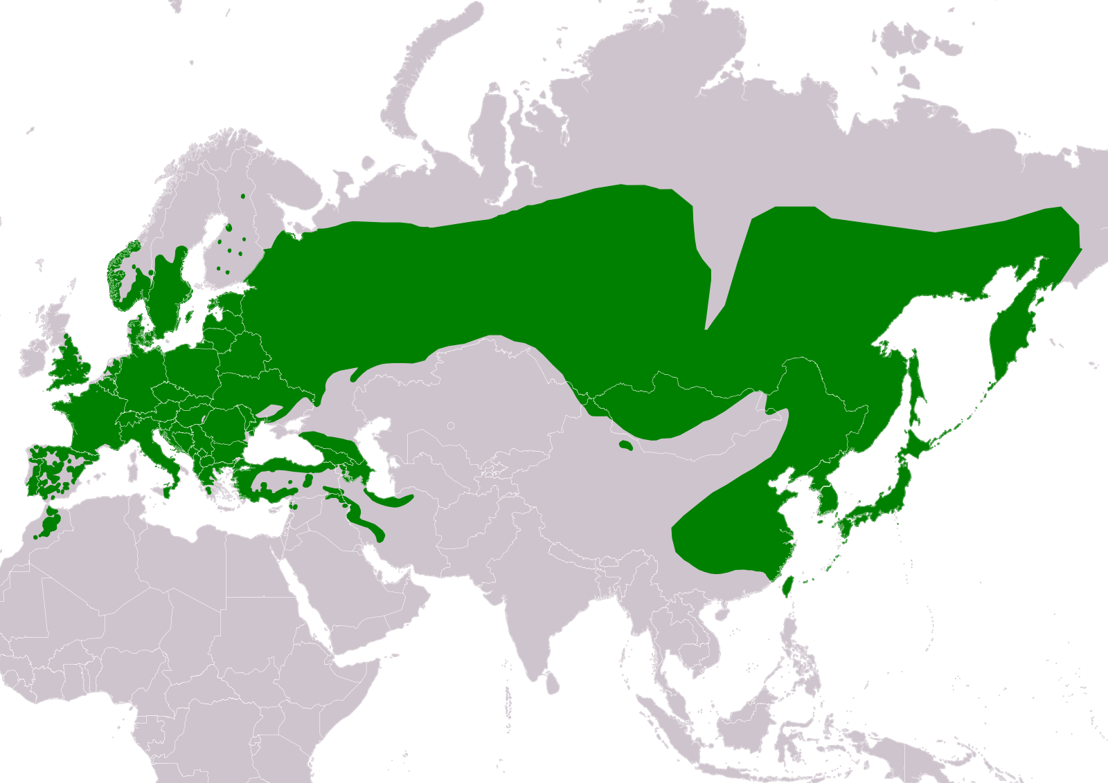 Eurasian science. Ареал рисунок. Кенгуру Беннета ареал обитания. Pax europaea.