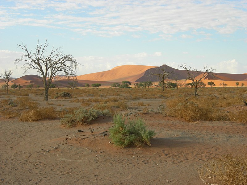 File:Sossusvlei, Namibia (3137686413).jpg