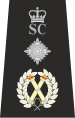 Южный Йорк SCO.svg 