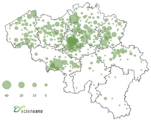 Spread of SARS-CoV-2 in Belgium as of 2020-03-18.png