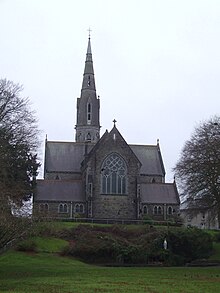 St Patrick's church, TrimViewed from the castle's southern curtain wall.