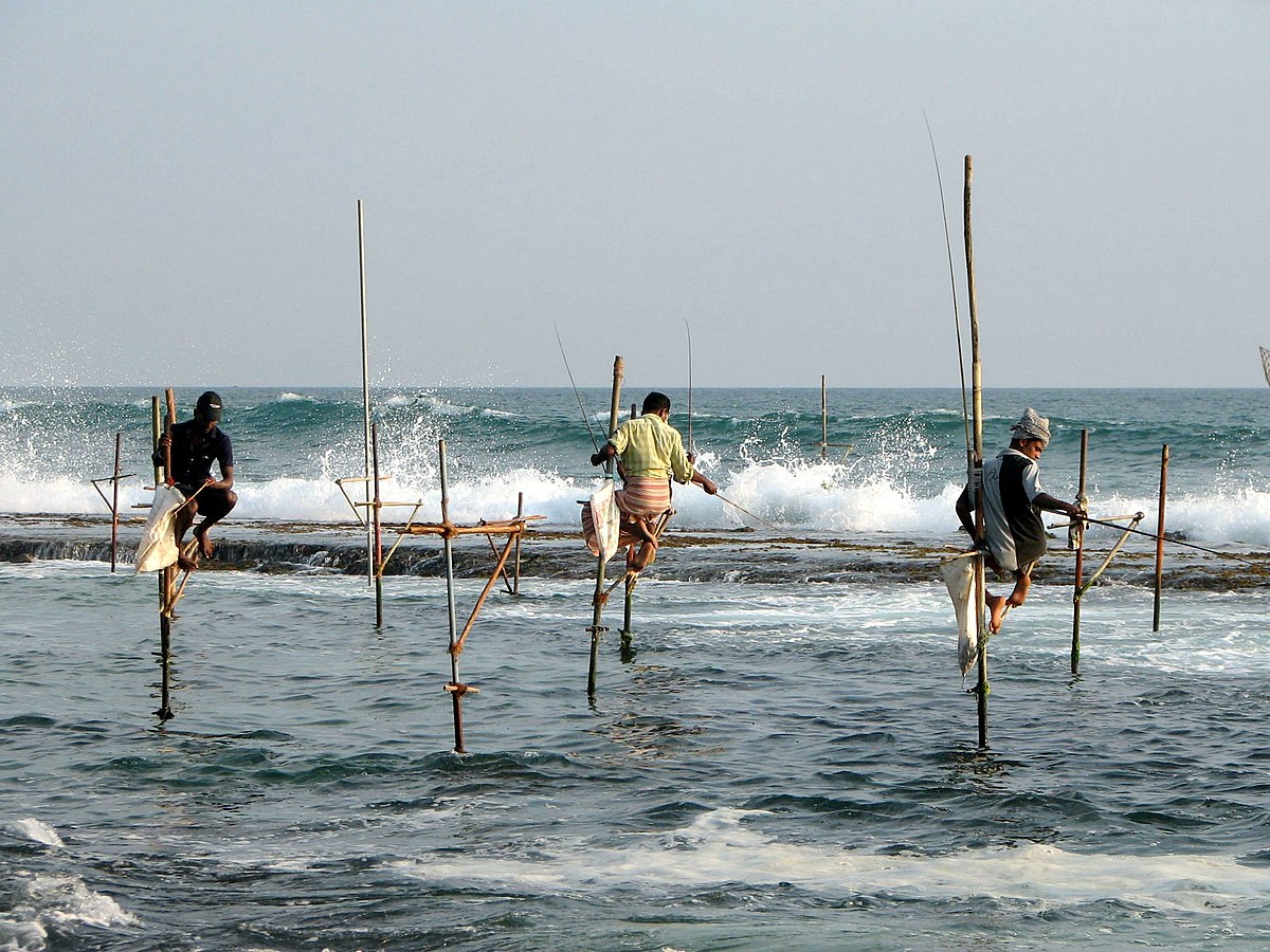 Fishing and its health benefits: The more men go fishing, the better their  mental health, study finds