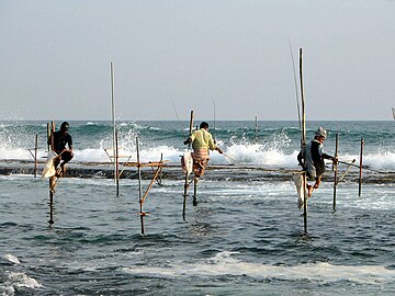 Stilts fishermen Sri Lanka 02.jpg
