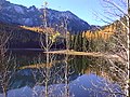 Vignette pour Forêt nationale de Malheur