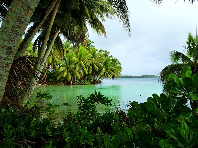 File:Strawn Island at Palmyra Atoll NWR (5123999194).jpg