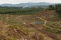 * Nomination Sungai Mangis, Sabah: Tamaco Oil Mill 2 and surroundings. The foreground area is subject to replanting young oil palms after removing the old trees.) --Cccefalon 04:42, 25 May 2016 (UTC) * Promotion Good quality. --Johann Jaritz 04:52, 25 May 2016 (UTC)