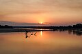 * Nomination Sunset over the Luangwa River, wide view, South Luangwa Nat'l Park, Zambia --Tagooty 00:08, 4 September 2023 (UTC) * Promotion  Support Good quality. --Rjcastillo 01:13, 4 September 2023 (UTC)