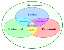 This diagram incorporates the three pillars diagram within the surrounding environment that the systems within rely on.[15]