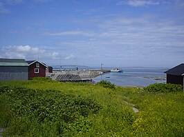 De haven van Eddies Cove West aan St. John Bay