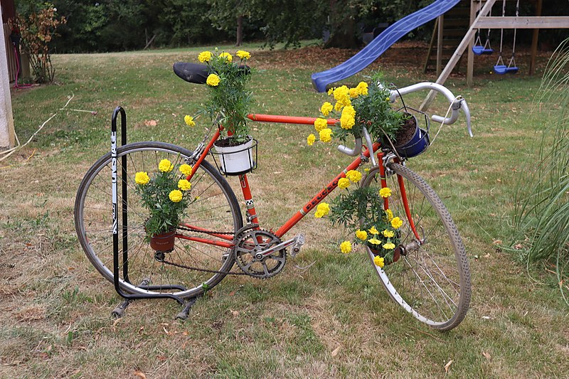 File:TdF 2022 Castelnau-Magnoac 69 - Vélo fleuri.jpg