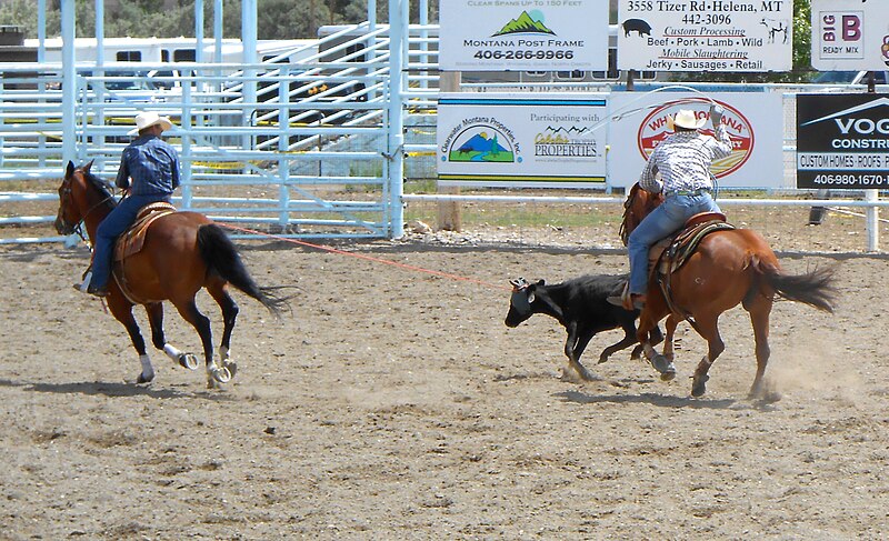 File:Team roping 10.JPG